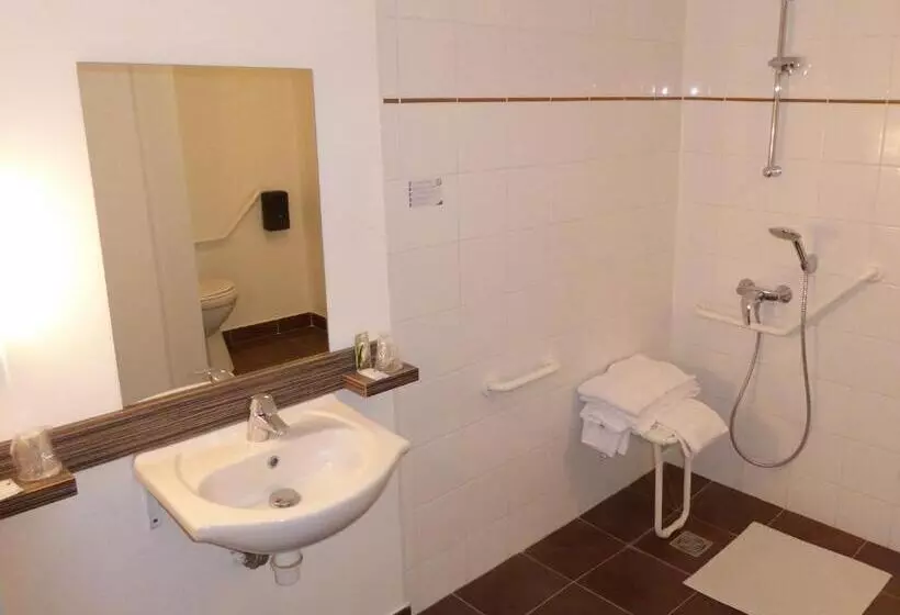اتاق استاندارد برای معلولان, Le Cosy Blois Villebarou