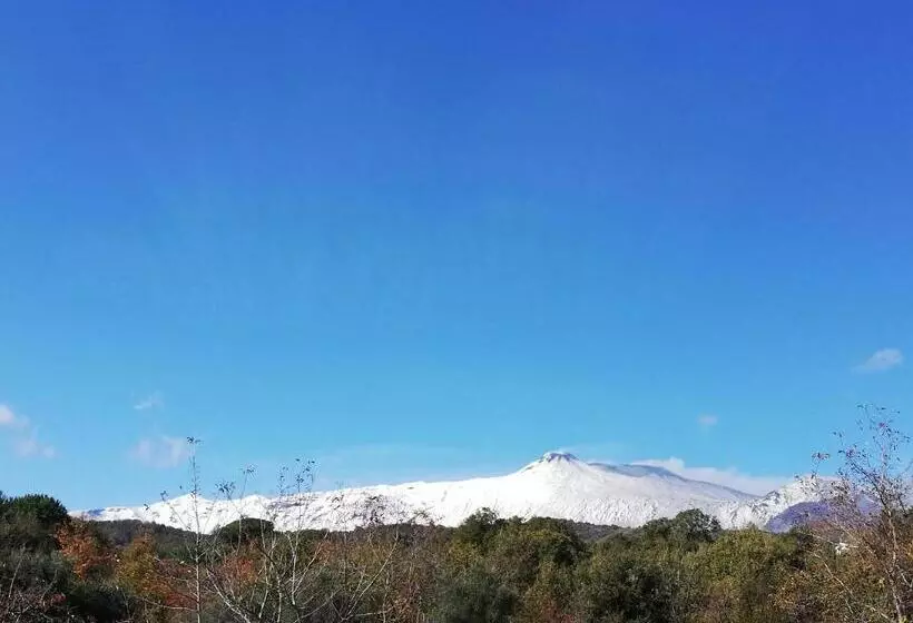 اتاق استاندارد با چشم‌انداز کوهستان, Milomax