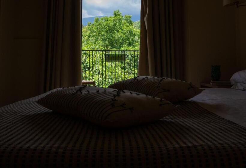 חדר סטנדרט לארבעה, Milomax