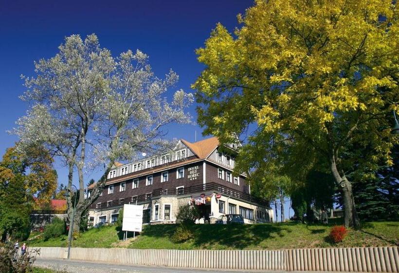 חדר סטנדרט לארבעה, Spa Hotel Bily Horec