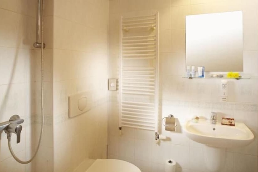 חדר סטנדרט לארבעה, Spa Hotel Bily Horec