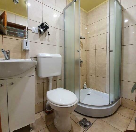 标准间, Pensiunea Leia Cârțișoara