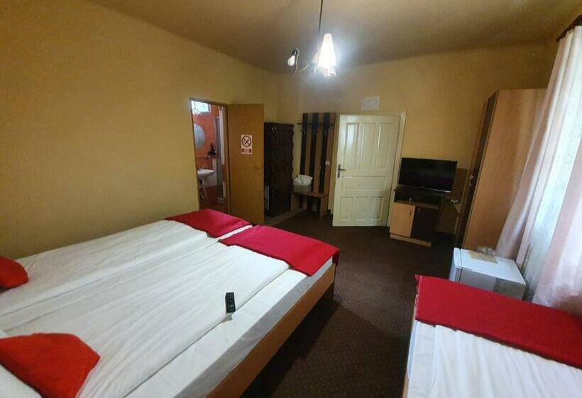 标准三人间, Pensiunea Leia Cârțișoara