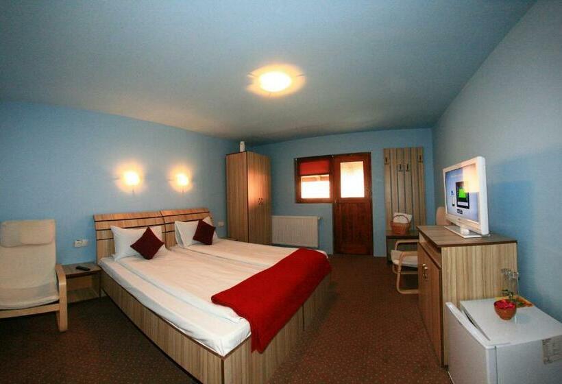 标准间带阳台, Pensiunea Leia Cârțișoara