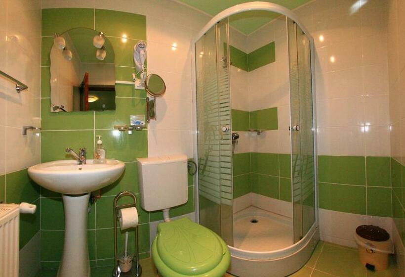 标准间带阳台, Pensiunea Leia Cârțișoara