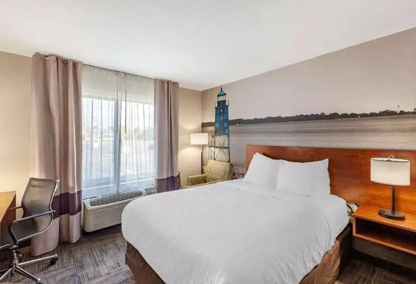 身障者適用スタンダードルーム, Clarion Pointe Racine  Mount Pleasant