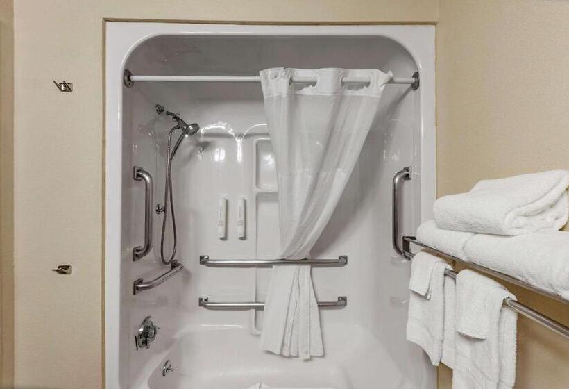 身障者適用スタンダードルーム, Clarion Pointe Racine  Mount Pleasant