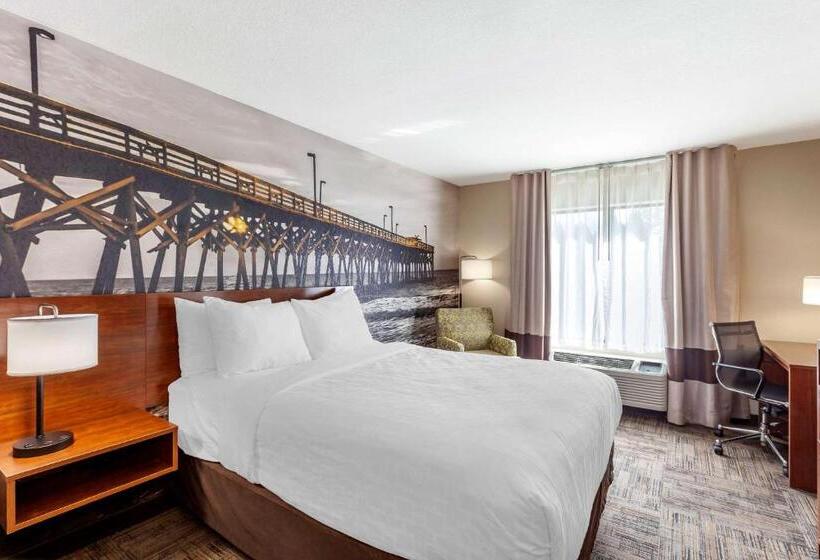 Стандартный Номер Кровать Кинг, Clarion Pointe Racine  Mount Pleasant