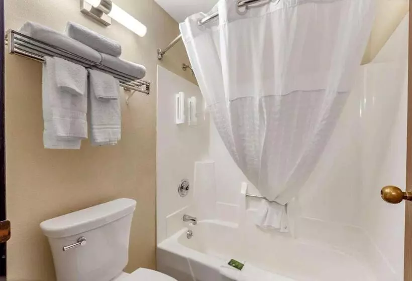 スタンダードルーム, Clarion Pointe Racine  Mount Pleasant