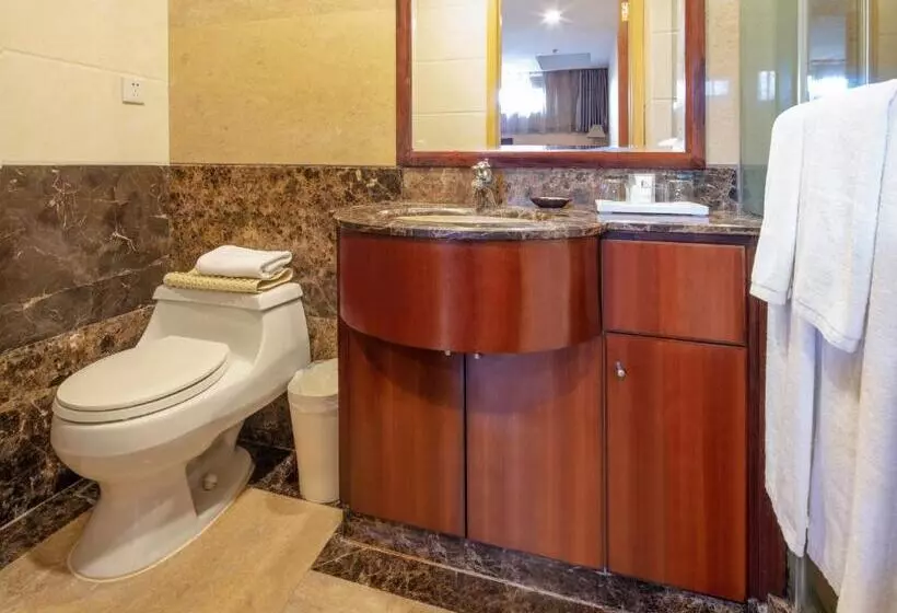 エクゼクティブワンルーム, Dalian Asia Pacific Service Apartment