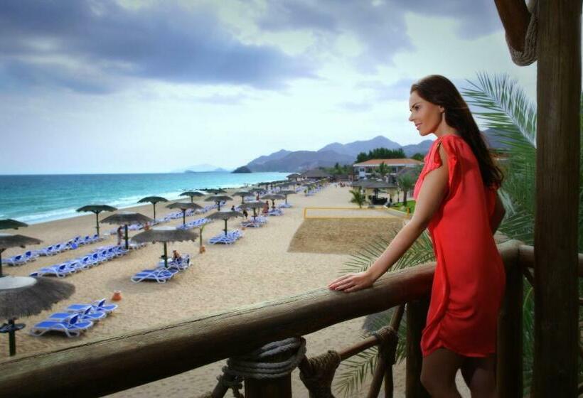 Номер Стандарт Вид на Море с Балконом, Fujairah Rotana Resort & Spa   Al Aqah Beach