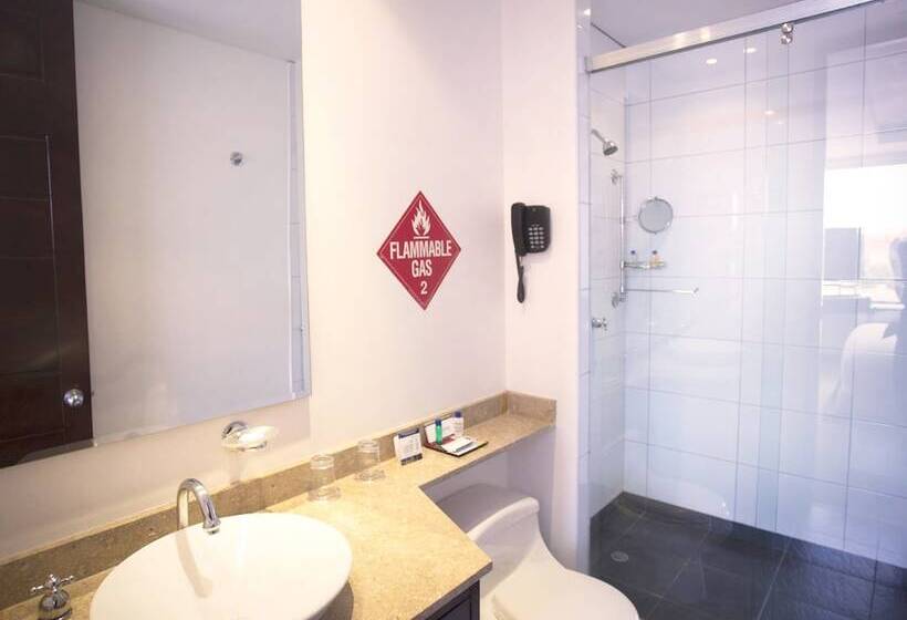 סוויטה דלוקס, 104 Art Suites