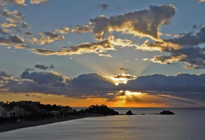 オーシャンビューのスタンダードシングルルーム, Arrayanes Playa Almunecar
