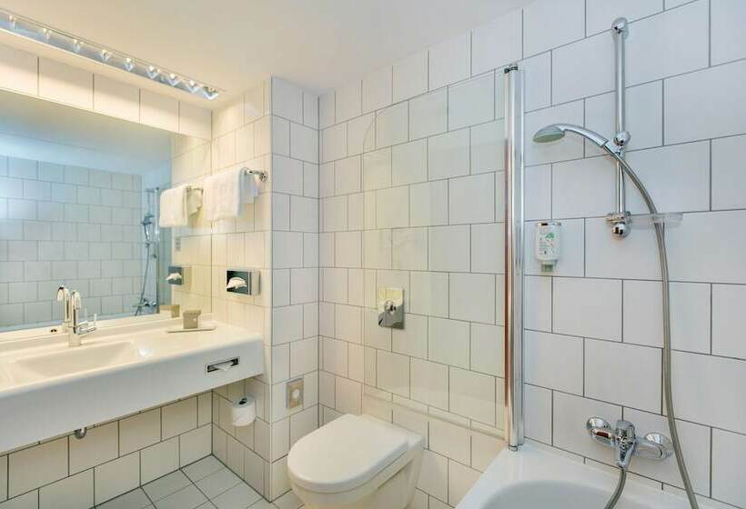 컴포트 룸, Arcotel Kaiserwasser Wien