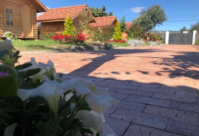 Номер Стандарт, Cabañas Villa Isabel