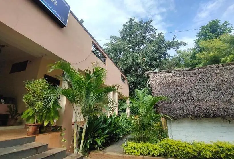 Standard-huone King-vuode, Pv Resort   Auro Beach