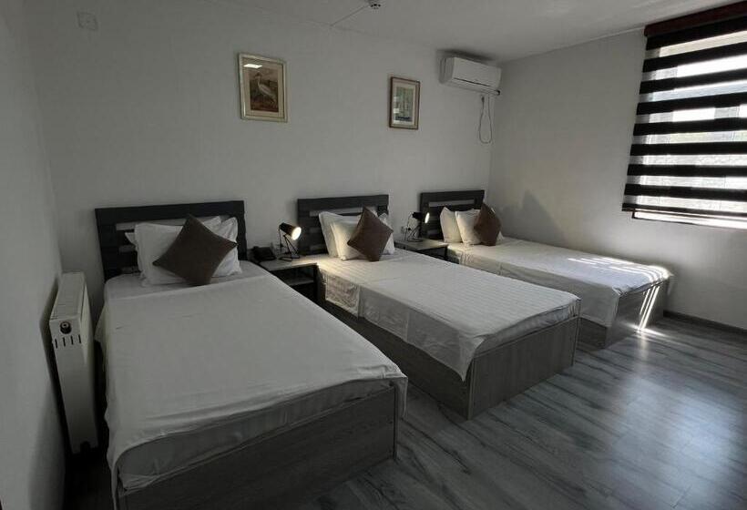 اتاق استاندارد سه نفره, Temurkhan