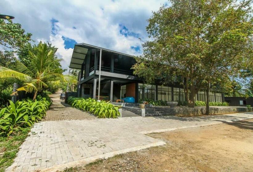 Номер Deluxe, The Domain