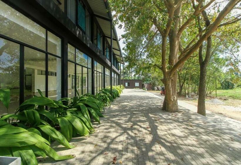 Номер Deluxe, The Domain