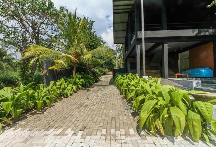 Номер Deluxe, The Domain