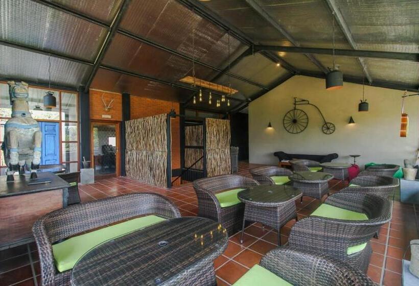 Номер Deluxe, The Domain