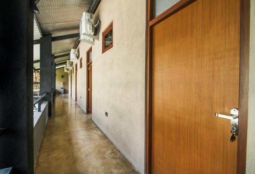 Номер Deluxe, The Domain