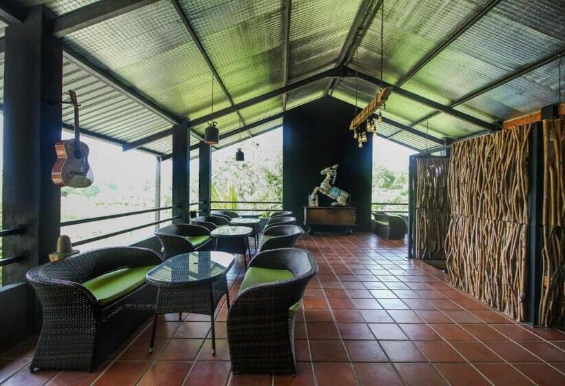 Номер Deluxe, The Domain