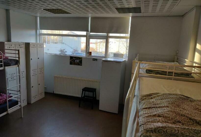 Yatak Paylaşımlı Oda, Sm Hostel