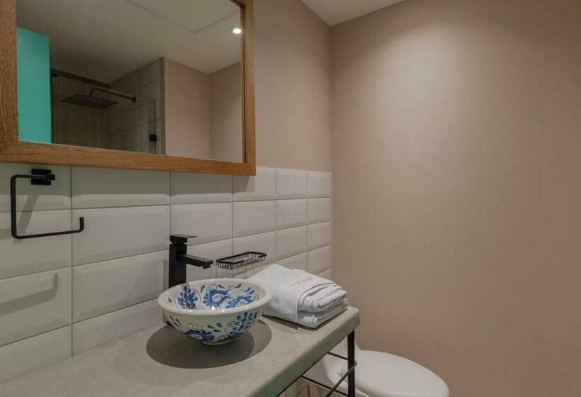 스탠다드 룸, Masaya Medellin