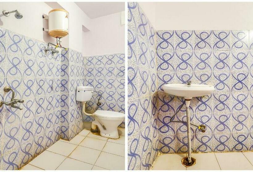 スタンダードルーム, Super Collection O Dolphin