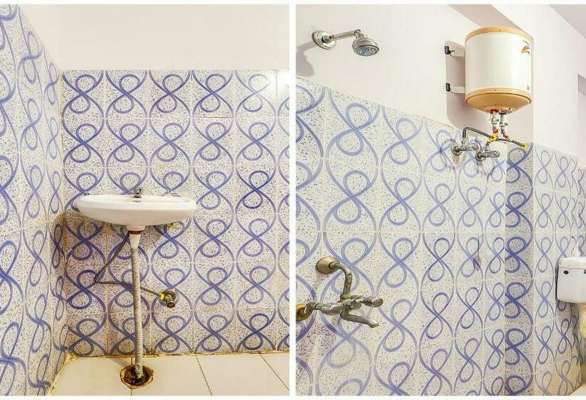 スタンダードルーム, Super Collection O Dolphin