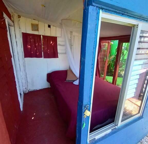 스탠다드 룸, Green House Hostel