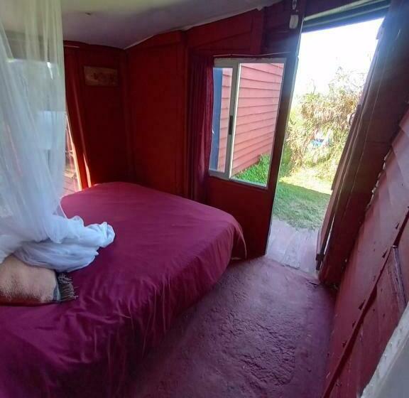 Номер Стандарт, Green House Hostel