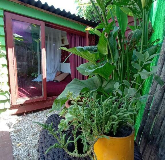 Номер Стандарт, Green House Hostel