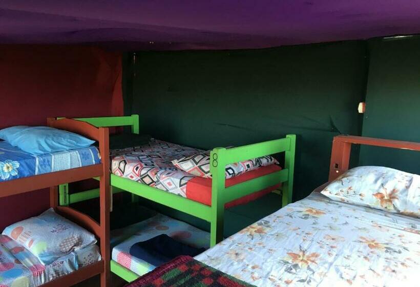 Кровать в Общей Комнате, Green House Hostel