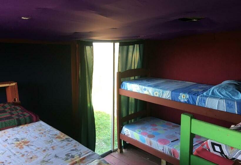 공동 객실, Green House Hostel