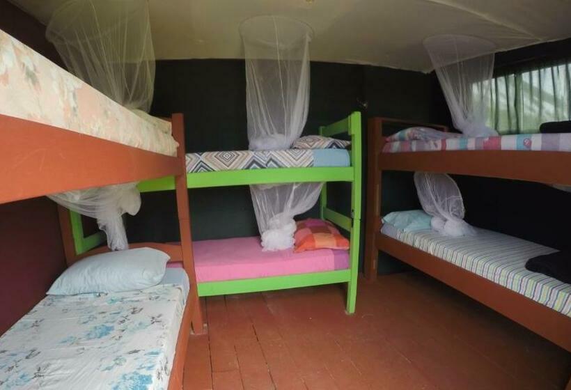 Кровать в Общей Комнате, Green House Hostel