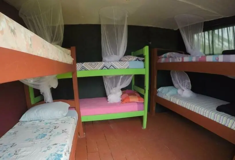 ルームシェアのワンベッド, Green House Hostel