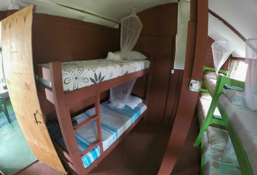 Кровать в Общей Комнате, Green House Hostel