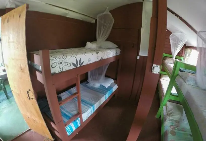 ルームシェアのワンベッド, Green House Hostel