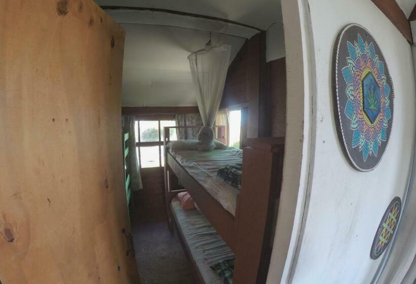 공동 객실, Green House Hostel