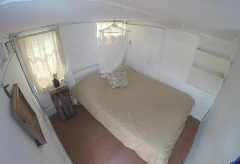 エコノミールーム, Green House Hostel
