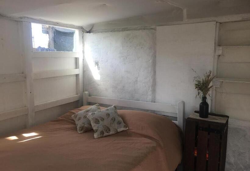 Номер Economy, Green House Hostel