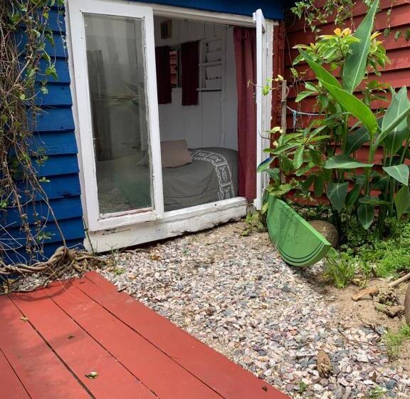 Номер Стандарт, Green House Hostel