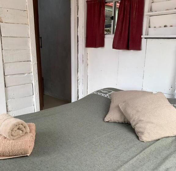 Номер Стандарт, Green House Hostel