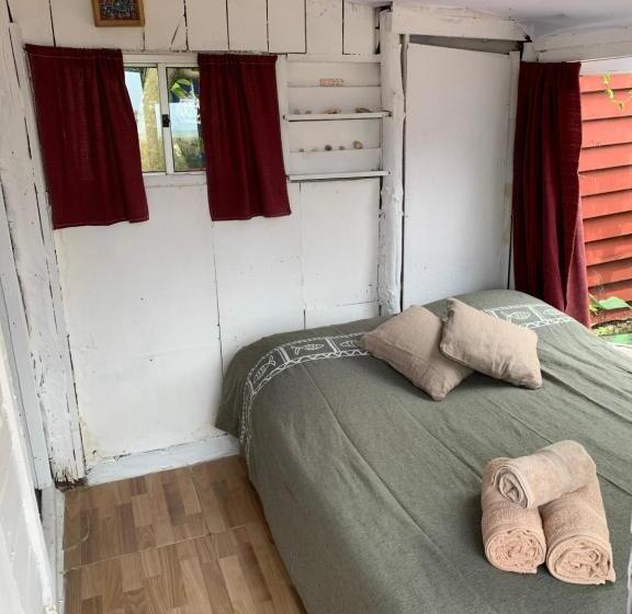 Номер Стандарт, Green House Hostel