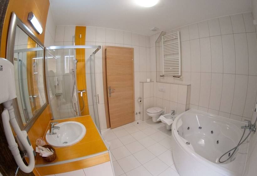 اتاق لوکس با چشمانداز شهر, Brotnjo