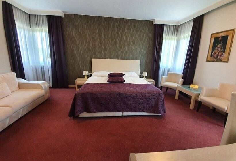 اتاق لوکس با چشمانداز شهر, Brotnjo