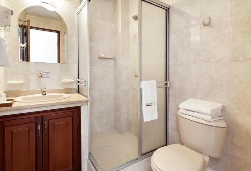 غرفة سوبيريور فردية, Fernando Plaza