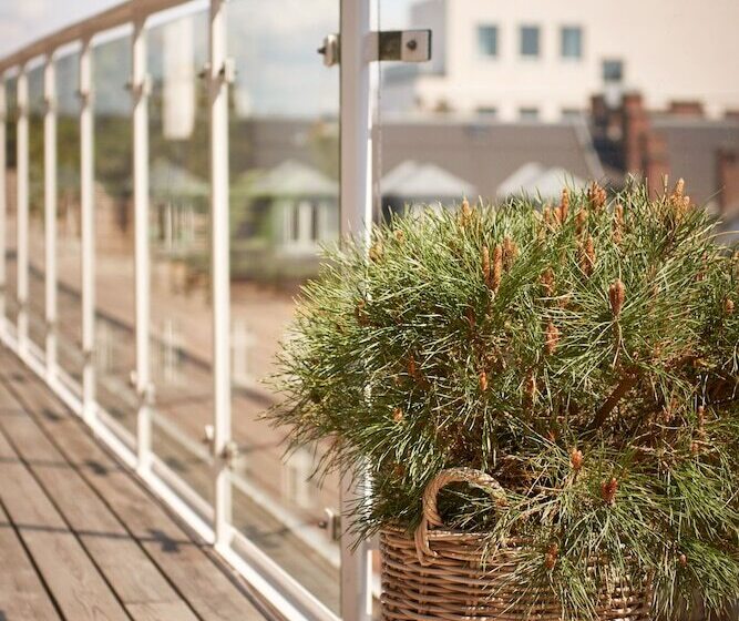 스탠다드 룸 더블 침대, Wide